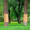 Tree Protection Tape Adhesive Barrier view 2
