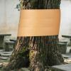Tree Protection Tape Adhesive Barrier view 3