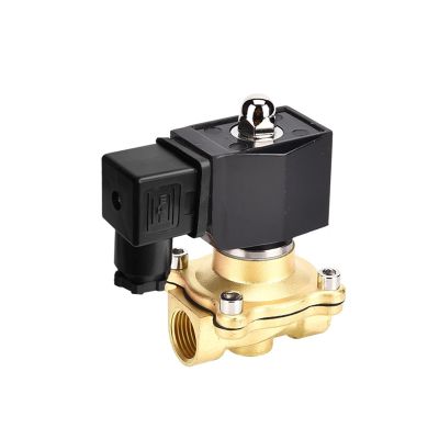 NVSFZGIYG 1/2-Inch Electric Solenoid Valve, 12 V, IP65 Waterproof, Normally Closed, Brass, NPT-110VAC