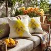 50 x 50 cm Cushion Covers, 2-Pack, Beige/Yellow Velvet, Water-Resistant Outdoor Covers view 2