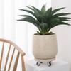 FUHAI-666 Round Plant Saucer with Drip Tray and Wheels, Resin Plant Pot Holder (Beige, Medium) view 3