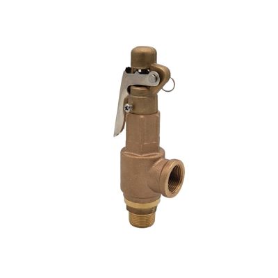 NVSFZGIYG S10L Copper Safety Valve, 1/2" 3/4" 1" Brass Pressure-Limiting Valve, S10 5 bar/8 bar/10 bar for Screw Air Compressors, DN15/DN20/DN25 (0.6 MPa, 0.75 Inch)