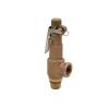 NVSFZGIYG S10L Copper Safety Valve, 1/2" 3/4" 1" Brass Pressure-Limiting Valve, S10 5 bar/8 bar/10 bar for Screw Air Compressors, DN15/DN20/DN25 (0.6 MPa, 0.75 Inch) view 1