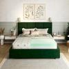 FDM Balance Aloe Vera Mattress, 80 x 200 cm, 7 Zones, H3/H4, 21 cm view 2