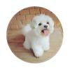 Tcoay Waterproof 8-Inch Round Mouse Pad, Non-Slip Rubber Base, Maltese Dog view 1