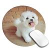 Tcoay Waterproof 8-Inch Round Mouse Pad, Non-Slip Rubber Base, Maltese Dog view 2