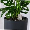 POPETPOP 6-Piece Stainless Steel Fertilizer Boxes for Bonsai, Orchids, and Small Plants view 4