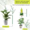 Plastic Plant Trellis, 6-Pack, Adjustable Supports, 69.8 cm view 3