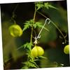 Abaodam 850-Piece White Nylon Plant Support Hooks for Tomatoes and Cucumbers view 3