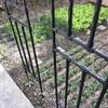 Sturdy Metal Garden Arch, 240 cm, Wedding Trellis for Climbing Roses, Weather-Resistant, Black (2.2 x 2.4 m) view 3
