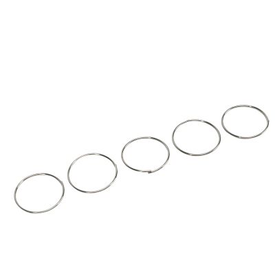 Bike Freehub Springs, 304 Stainless Steel, Replacement Hub Body Springs, 5pcs