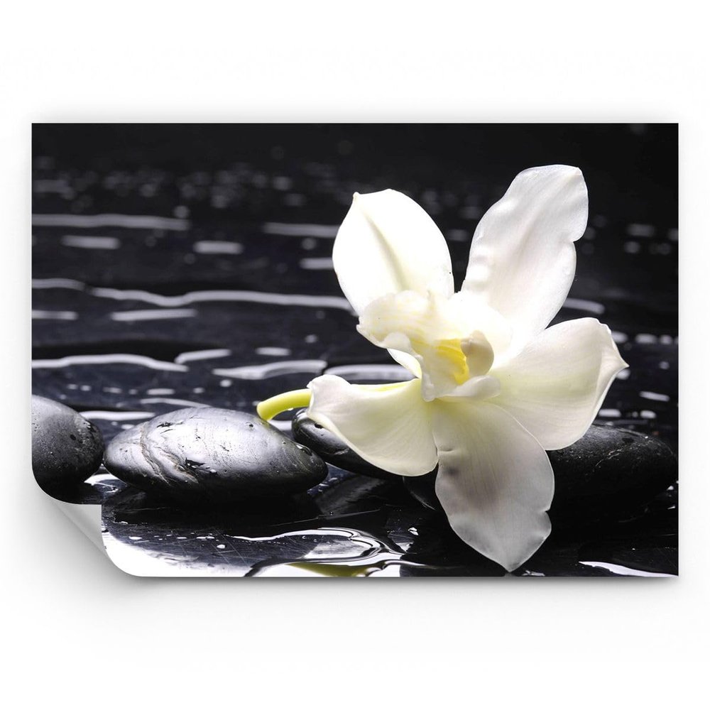 Photo Wallpaper 350 x 256 cm Modern Botanical Floral - 0444 - WF1