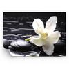 Photo Wallpaper 350 x 256 cm Modern Botanical Floral - 0444 - WF1 view 1