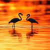 4000-Piece Sea Puzzle for Adults, Wooden Flamingo Jigsaw Puzzle for Adults and Children view 1