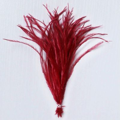 Jhdwu 100 White Ostrich Feathers, 10–18 cm Long