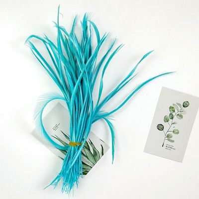 Jhdwu Colorful Goose Feathers (15–20 cm) for DIY Crafts, Jewelry Making and Decoration