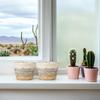 Toyvian 2-Piece Woven Straw Planter Baskets for Living Room and Garden view 4