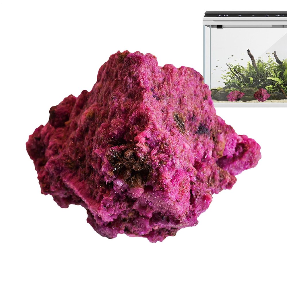 Ungtyb Aquarium and Outdoor Decorative Garden Stones