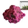Ungtyb Aquarium and Outdoor Decorative Garden Stones view 1