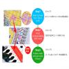 AxiangziK 11CT DIY Embroidery Kit, Cartoon Couple and Large Tree, Pre-Printed Cross-Stitch Kit, 60 x 80 cm view 3