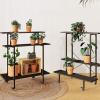 Plant Stand Shelf | Tall Flower Pot Holder with 2/3 Tiers for Indoor Plants view 1