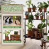 Plant Stand Shelf | Tall Flower Pot Holder with 2/3 Tiers for Indoor Plants view 3