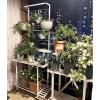 Plant Stand Shelf | Tall Flower Pot Holder with 2/3 Tiers for Indoor Plants view 4