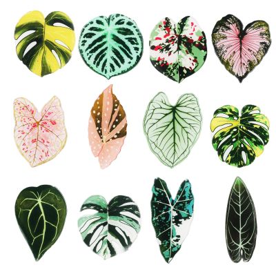 BOXOB 12-Piece Leaf-Shaped Refrigerator Magnets