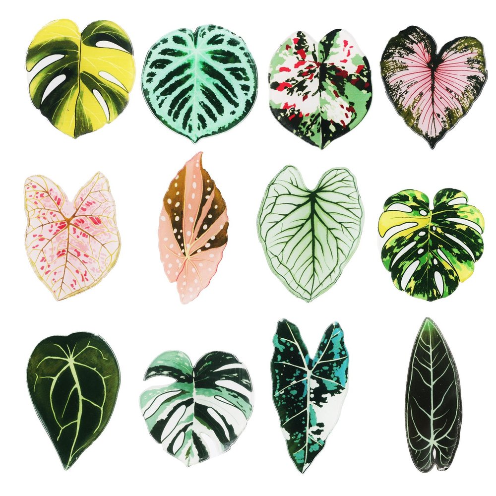 BOXOB 12-Piece Leaf-Shaped Refrigerator Magnets