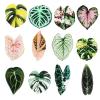 BOXOB 12-Piece Leaf-Shaped Refrigerator Magnets view 1