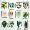 BOXOB 12-Piece Leaf-Shaped Refrigerator Magnets view 2