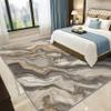 TerroVee Marble Rug, Modern Abstract Minimalist Short-Pile Rug, Washable, Soft, Gray Brown White, 60 x 90 cm view 4