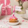 [100 pcs] Pink Paper Straws view 4