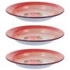 Round Enamel Plate, Serving Plate, Retro Enamel Dish for Pasta, Salad, Camping, Outdoor Use and Picnics (16 cm, Red) view 3