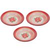 Round Enamel Plate, Serving Plate, Retro Enamel Dish for Pasta, Salad, Camping, Outdoor Use and Picnics (16 cm, Red) view 4