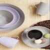 GastroMax 25 cm BIO Plate | Lavender | Picnic, Camping, Grilling | Heat Resistant | Food Safe & BPA Free | Dishwasher & Microwave Safe view 2