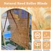 Weatherproof Bamboo Roller Shade view 2
