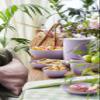 GastroMax 17.5 cm Plate | Lavender | Picnic, Camping, Grilling view 4