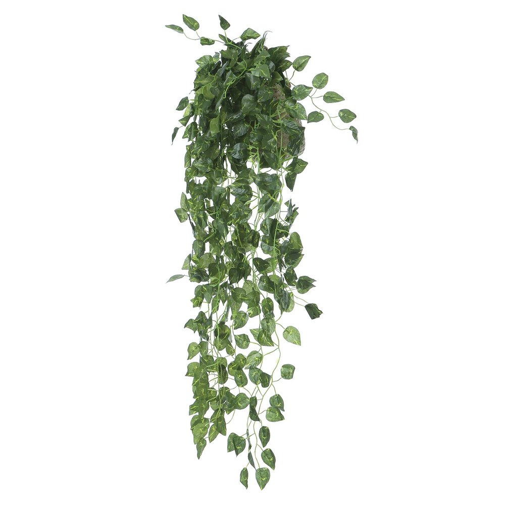 Brrnoo Artificial Hanging Vines
