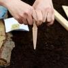 Garden Dibber | Reusable Portable Wooden Planter | Ergonomic and Efficient view 2