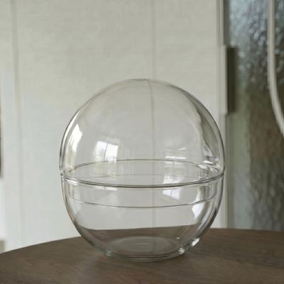 urbanjngl Two-Piece Glass Dome Terrarium, Recycled Glass, Approx. 4 L