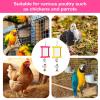 Chicken Mirror Swing Toy with Beak-Grinding Stone view 4