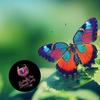 Butterfly PEA Blossom Spritz Magnet with Bottle Opener view 3