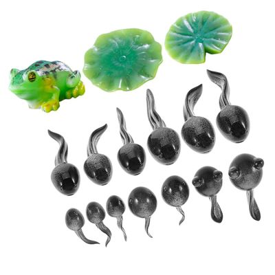 UPKOCH 16 Small Resin Frog Figures for Fairy Gardens and Moss Landscapes