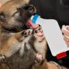 Multifunctional Goat Feeding Bottles with Ergonomic Handle view 2