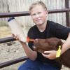 Lamb Feeding Bottle, 2 L or 4 L, for Calves and Young Animals view 2
