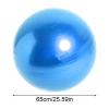 65 cm Anti-Burst Yoga Exercise Ball for Pilates, Pregnancy Support and Balance Training view 2