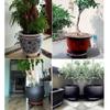 Sturdy Plant Caddy with Locking Wheels, 299 kg Capacity, 50.8 cm Base, White view 3