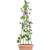 lisutupode Cucumber Trellis, Height-Adjustable Metal Garden Trellis with Bird Protection view 1