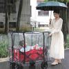 Outdoor Folding Cart Rain Cover with Canopy view 3